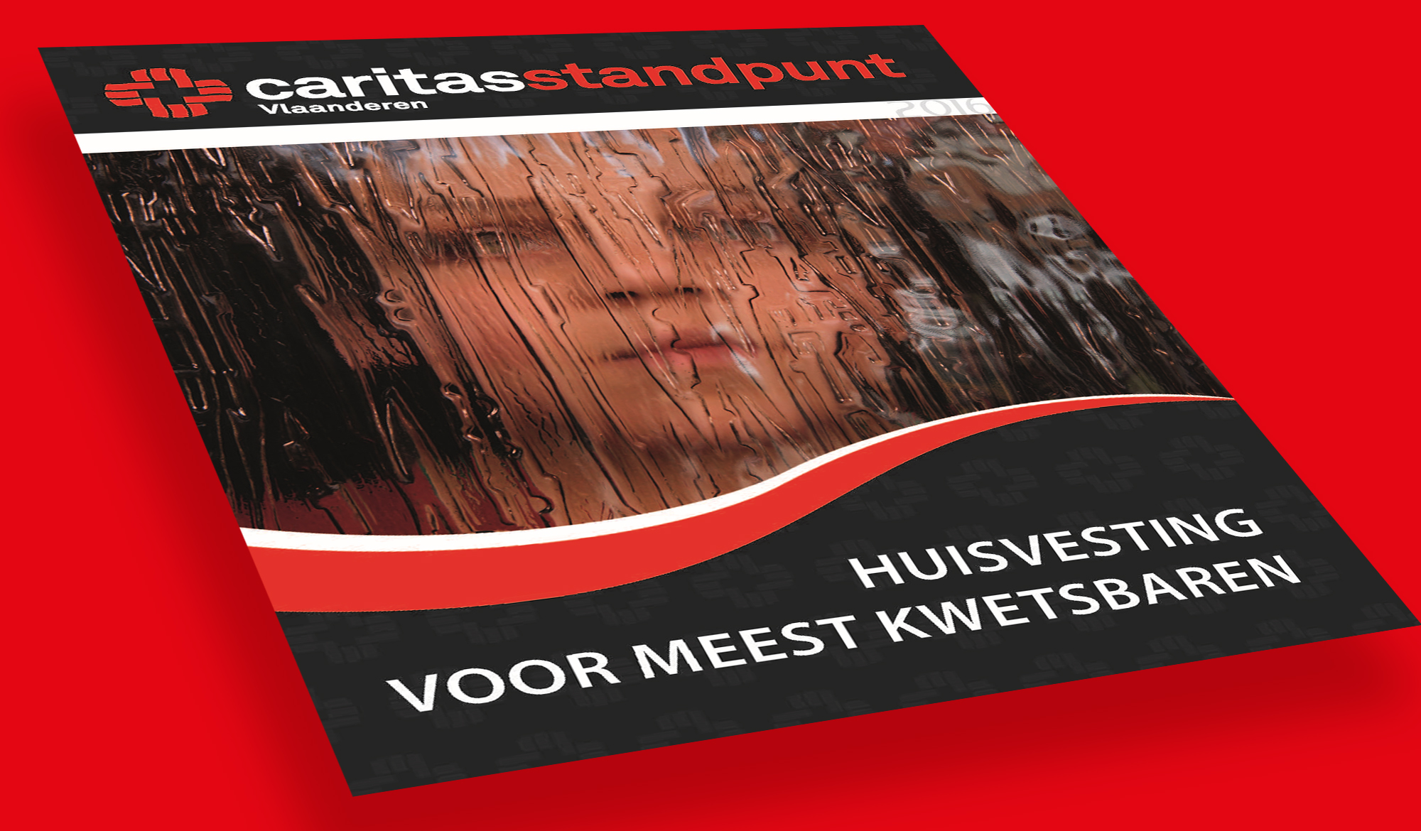 Caritas standpunt 2016