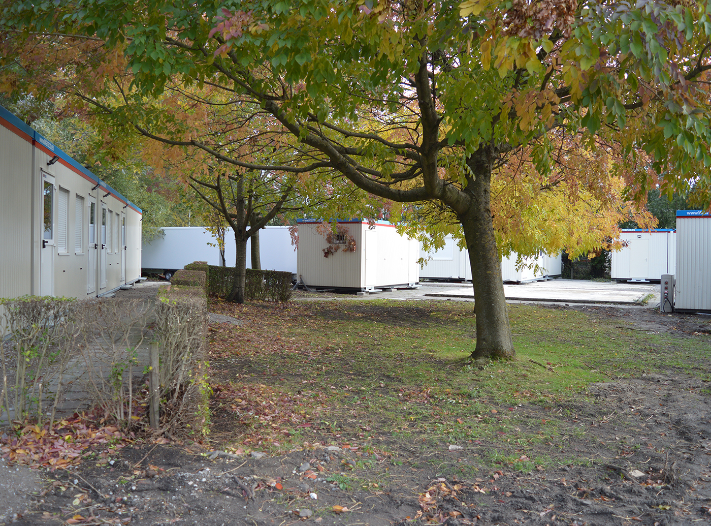 Lübecksite