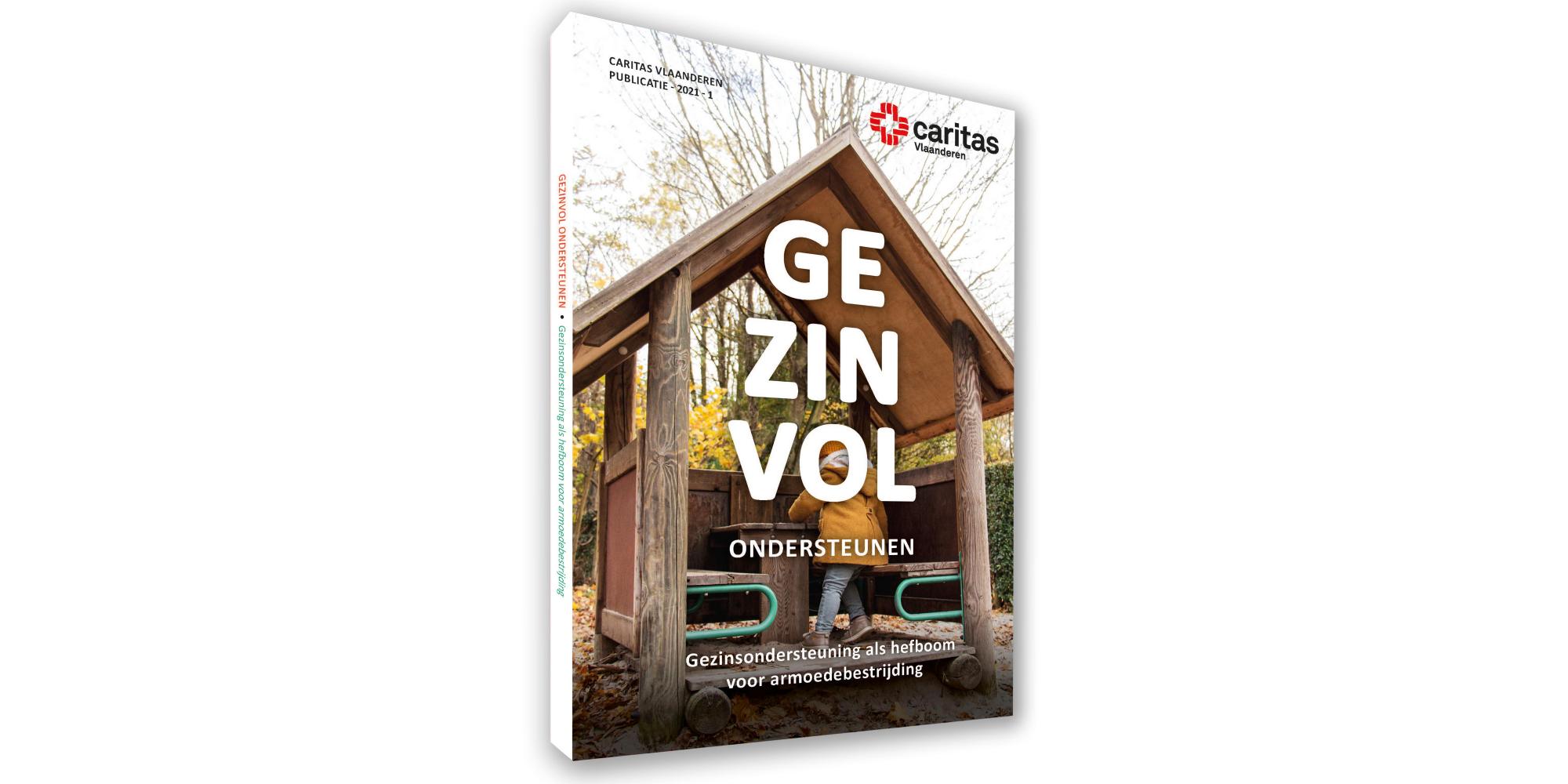 Gezinvol ondersteunen